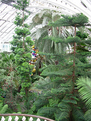 Kew Gardens