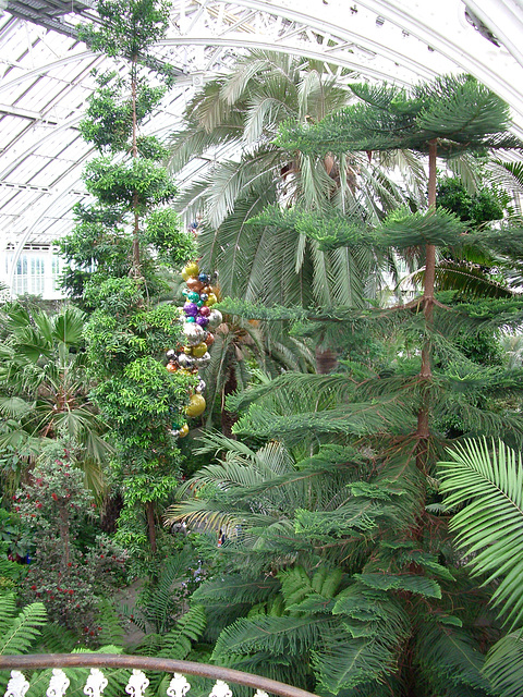 Kew Gardens