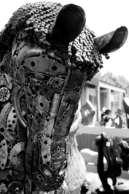 Hampton Court Flower Show Ricoh GR Horse