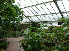 Kew Gardens