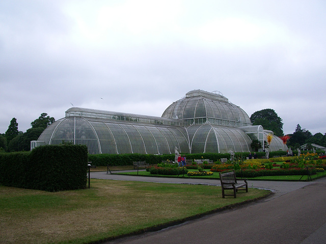 Kew Gardens: greenhouse