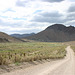 Road into Peavine Canyon