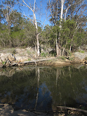 CrowsNestFalls201109 068