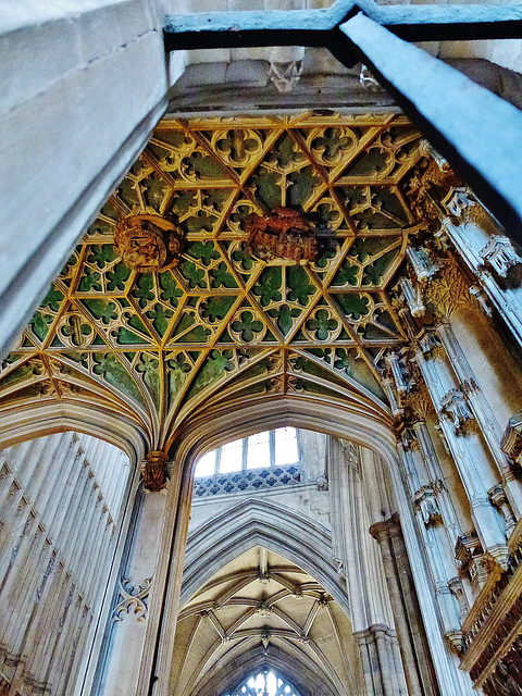 winchester cathedral, hants.