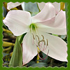 IMG 4348-002