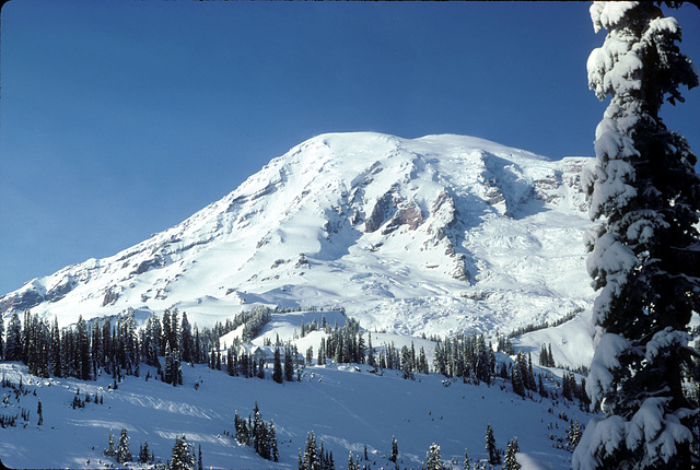 28-Mt_Rainier_ig_adj