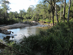 CrowsNestFalls201304 035