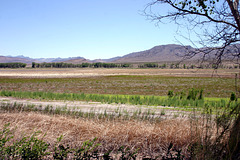 Upper Pahranagat Lake