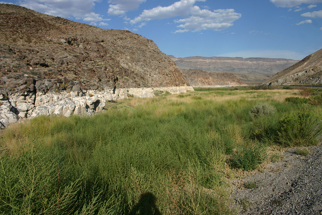 Maynard Lake (bed)