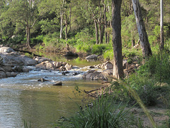 CrowsNestFalls201304 037