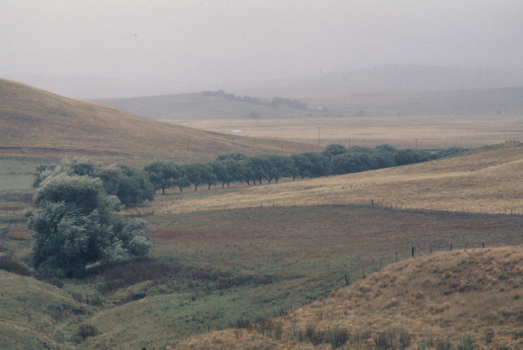 197402coomamailF1020044