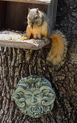 Then he sat and had breakfast !