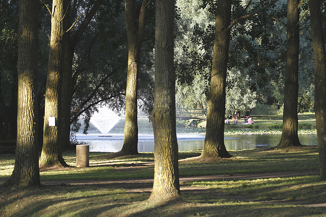 Le marais  au jet d'eau