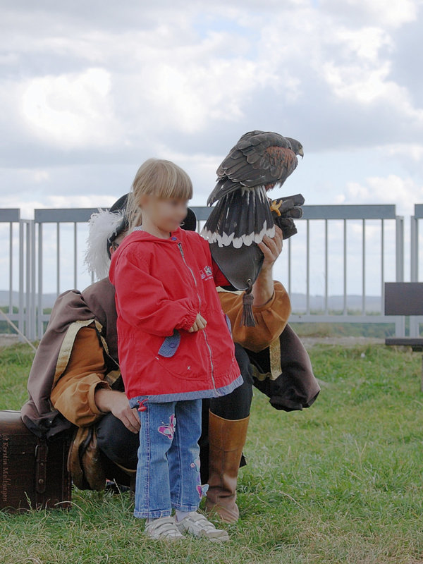 Beim Falknerspektakel