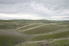 The Palouse