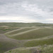 The Palouse