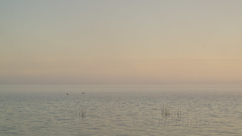 Daybreak, Lake Albert