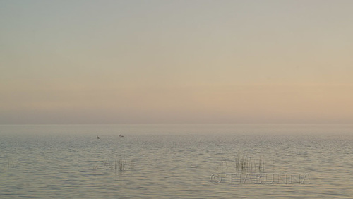 Daybreak, Lake Albert