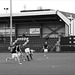 UCD vs Fingal, Mills Cup 191014