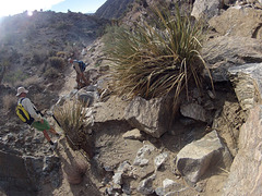Long Canyon (01162) Long Canyon (01162)