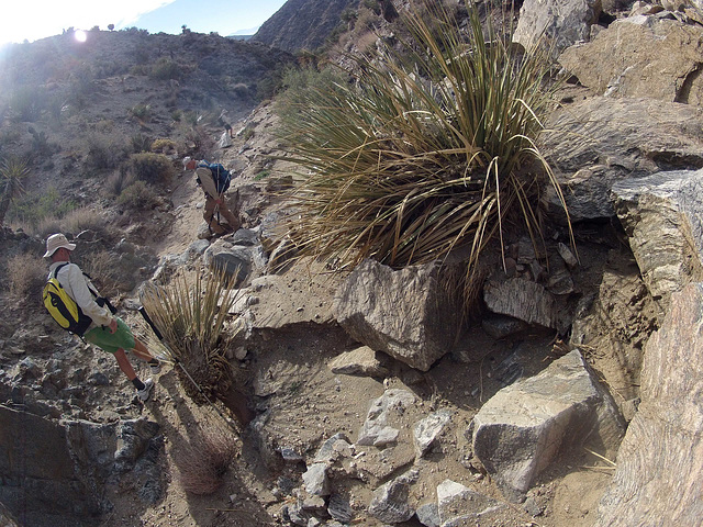 Long Canyon (01162)