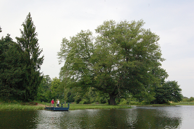 Teolaŭba pramo (Teelaubenfähre)