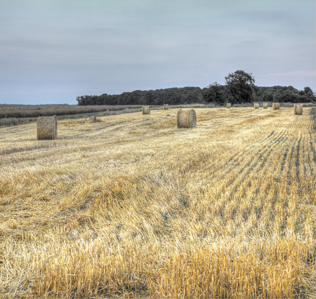 DSC 0034 5 6 tonemapped