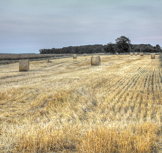 DSC 0034 5 6 tonemapped 598REDIM