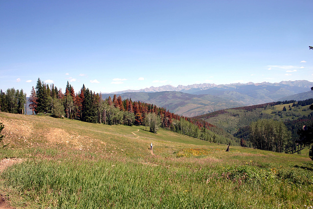 Bike trail, Beaver Creek ski area, Colorado