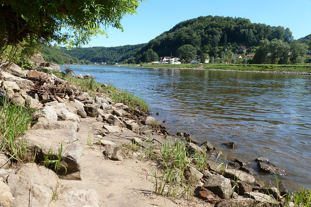 Elbe am 21. Juli 2013