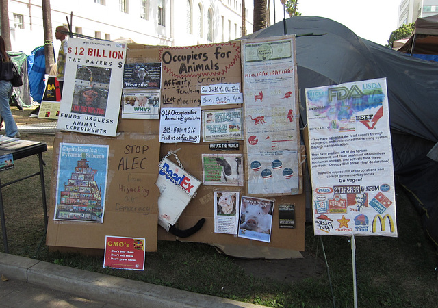 Occupy LA 1429a