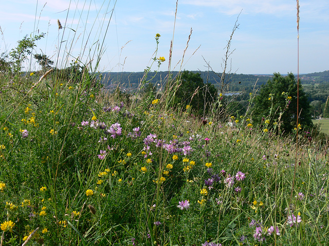 Freude an der Natur