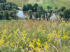 Auf dem Münchshofener Berg