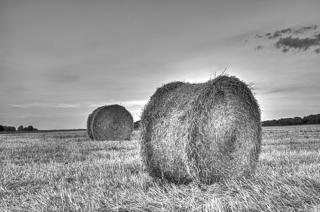 DSC 0061 2 3 tonemapped 597REDIM