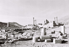 Palmyra, Syria, Christmas Day 2010