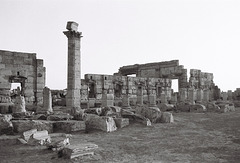 Palmyra, Syria, Christmas Day 2010