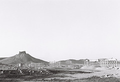 Palmyra, Syria, Christmas Day 2010