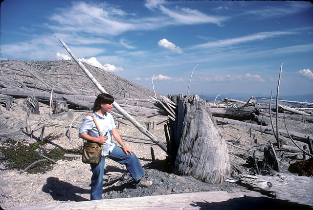 Douglas fir stump