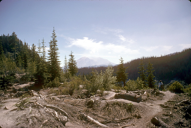 02-mt_st_helens-6-85_ig_adj