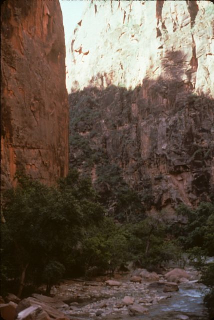 1-04-zion_narrows_ig