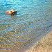 Golden retriever in lake-ig