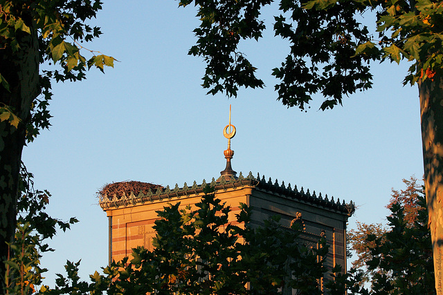 Damaszenerhalle in der Morgensonne (Wilhelma)