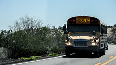 School Bus