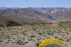 ein kleines Stück Colorado River