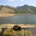 Onion Valley Reservoir