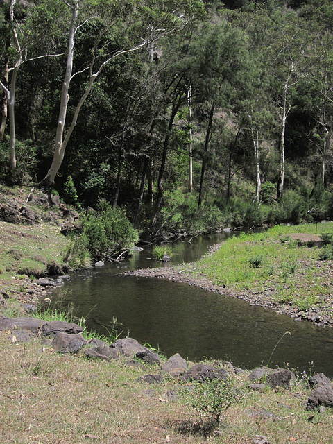 201301RunningStreamQld 016