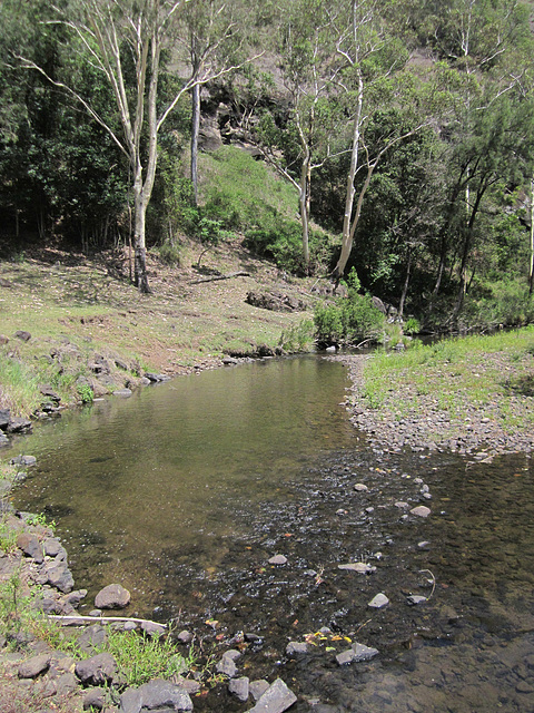 201301RunningStreamQld 020