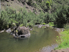 201301RunningStreamQld 022