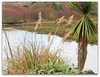 At Lake Whakamaru