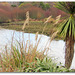 At Lake Whakamaru